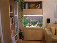 Akvárium 283L, rozmery 99x44x65cm